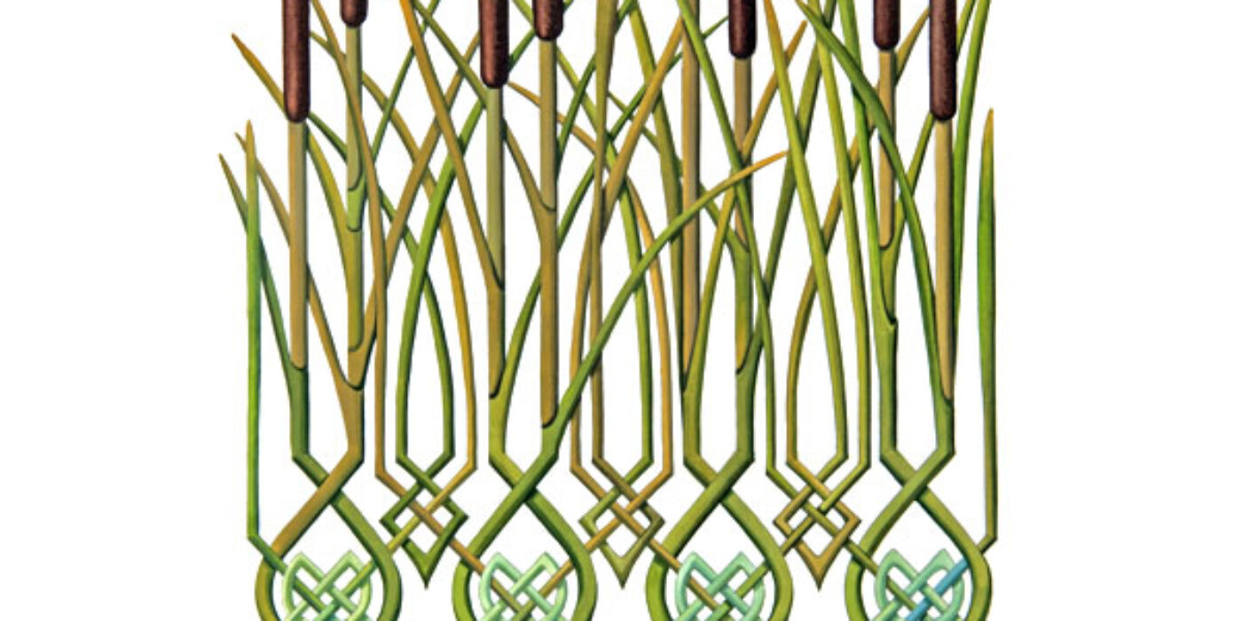 RA: 089 Celtic Range – Cat Tails