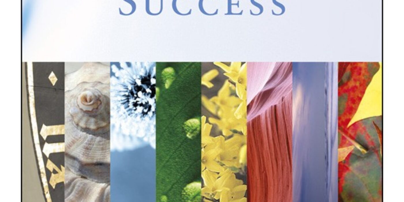 Mottos for Success 4